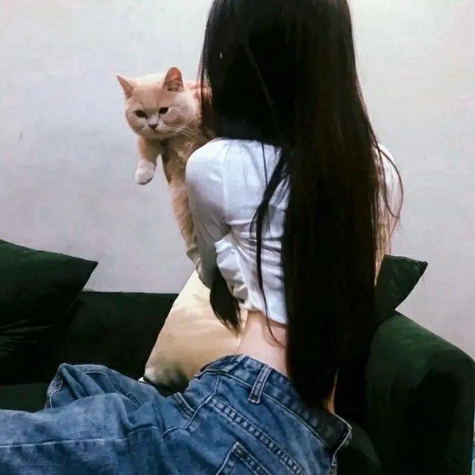 现在请开播